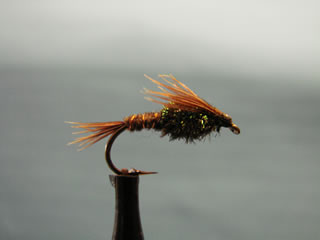 Pheasant Tail (10-16)